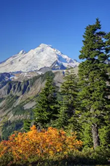 Images Dated 1st October 2010: WA, Heather Meadows RA, view of Mount Baker from Kulshan Ridge at Artists Point