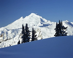 Images Dated 13th August 2010: WA, Heather Meadows Recreation Area, Mount Baker view from Kulshan Ridge at Artist s