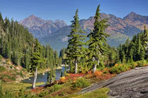 Images Dated 1st October 2010: WA, Heather Meadows Recreation Area, meadow with Bagley Lakes