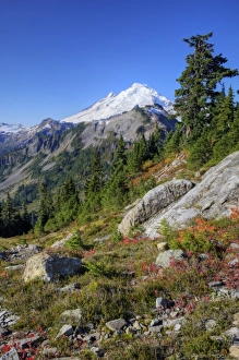Recreation Area Prints: WA, Heather Meadows Recreation Area, view of Mt. Baker from Kulshan Ridge at Artist s