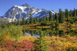 Heather Meadow Prints: WA, Heather Meadows Recreation Area, Mt. Shuksan, at Picture Lake