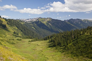 Images Dated 31st August 2012: WA, Henry M. Jackson Wilderness, Meander Meadow