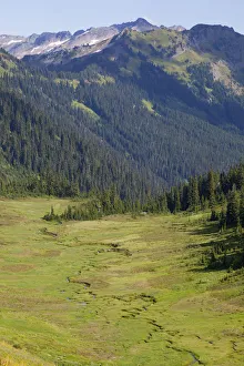 Public Lands Prints: WA, Henry M. Jackson Wilderness, Meander Meadow