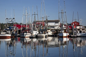 Images Dated 20th August 2011: WA, Ilwaco, fishing boats and cannery at Port of Ilwaco