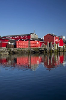WA, Ilwaco, Jessies Ilwaco Fish Co. cannery at Port of Ilwaco