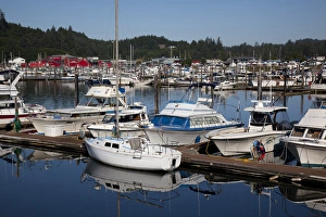 Images Dated 20th August 2011: WA, Ilwaco, Marina, at Port of Ilwaco; with fishing boats and cannery