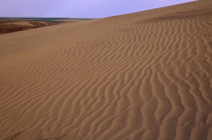Images Dated 2nd August 2012: WA, Juniper Dunes Wilderness, sand dunes