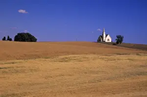 Lincoln County Prints: WA, Lincoln County; Rocklyn, Zion Methodist Church with wheat field
