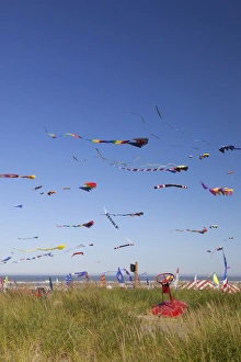 Images Dated 20th August 2011: WA, Long Beach, International Kite Festival, Colorful kites