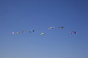 Images Dated 20th August 2011: WA, Long Beach, International Kite Festival, Quad line stunt kites