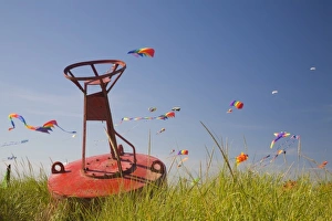 Images Dated 24th August 2007: WA, Long Beach, International Kite Festival, Colorful kites