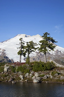 Images Dated 7th October 2012: WA, Mount Baker National Recreation Area, Park Butte, Mount Baker, with alpine tarn