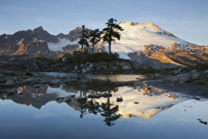 Images Dated 7th October 2012: WA, Mount Baker National Recreation Area, Park Butte, Mount Baker reflected in alpine