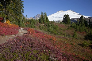 WA, Mount Baker National Recreation Area, Park Butte, Mount Baker, Railroad Grade trail
