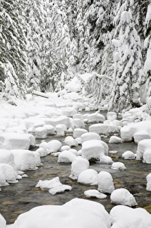 WA, Mount Baker Snoqualmie National Forest, South Fork Snoqualmie River, with a mantle