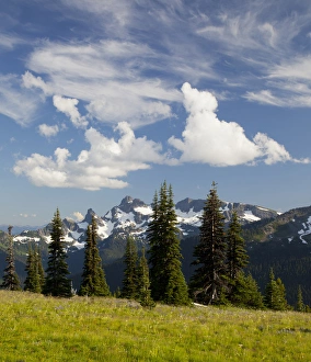 Images Dated 25th August 2011: WA, Mount Rainier National Park, Alpine meadow and Sarvent Glaciers, view from Sunrise