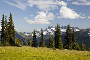 Images Dated 25th August 2011: WA, Mount Rainier National Park, Alpine meadow and Sarvent Glaciers, view from Sunrise