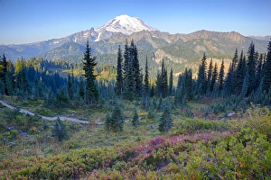 Images Dated 3rd October 2012: WA, Mount Rainier National Park, Mount Rainier, view from Naches Loop near Chinook Pass
