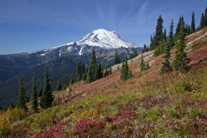 Images Dated 3rd October 2012: WA, Mount Rainier National Park, Mount Rainier, view from Naches Loop near Chinook Pass