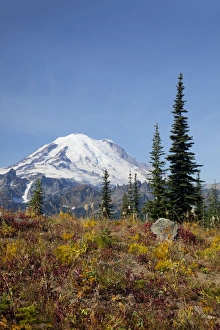 WA, Mount Rainier National Park, Mount Rainier, view from Naches Loop near Chinook Pass