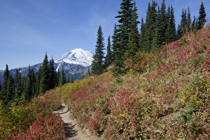 Images Dated 3rd October 2012: WA, Mount Rainier National Park, Mount Rainier, view from Naches Loop near Chinook Pass