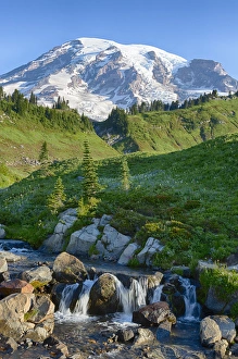 WA, Mount Rainier National Park, Edith Creek and Mount Rainier