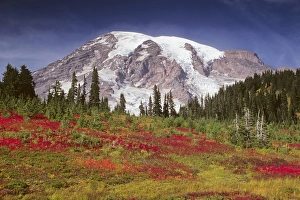 Images Dated 13th August 2010: WA, Mount Rainier National Park, Mt. Rainier view from Paradise