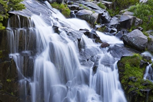 Images Dated 4th August 2016: WA, Mount Rainier National Park, Myrtle Falls