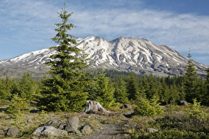 Images Dated 27th June 2016: WA, Mount Saint Helens National Volcanic Monument, Mount Saint Helens, view from south