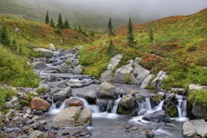 Images Dated 28th September 2010: WA, Mt. Rainier National Park, Edith Creek
