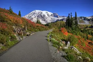 Images Dated 29th September 2010: WA, Mt. Rainier National Park, Paradise Valley trail with Mt. Rainier