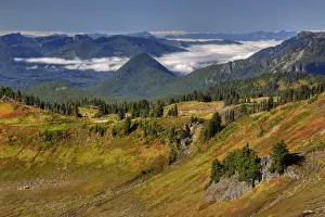 Images Dated 29th September 2010: WA, Mt. Rainier National Park, view from Golden Gate Trail