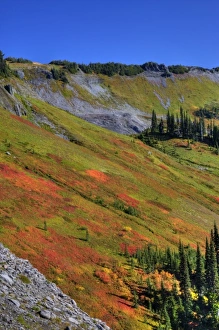 WA, Mt. Rainier National Park, view from Skyline Trail