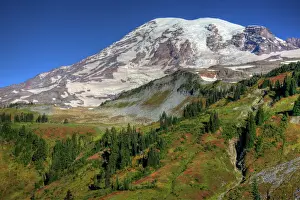 WA, Mt. Rainier National Park, view from the Skyline Trail of Mt. Rainier and fall