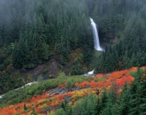 Images Dated 1st May 2007: WA, Mt. Rainier NP, Martha Falls with fall color in Stevens Canyon