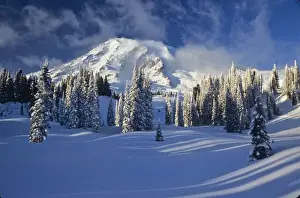 Paradise Valley Prints: WA, Mt. Rainier NP, Mt. Rainier and Paradise Valley after snow storm