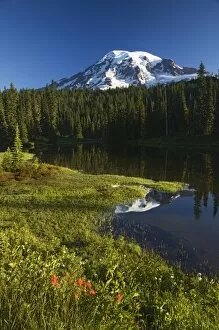 Images Dated 20th July 2006: WA, Mt. Rainier NP, Mt. Rainier reflected in Reflection Lake, paintbrush in foreground