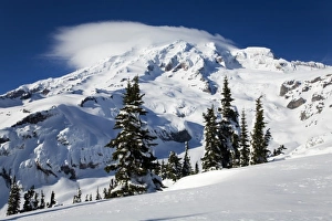 Images Dated 6th February 2006: WA, Mt. Rainier NP, Mt. Rainier after winter snowstorm