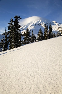 Images Dated 6th February 2006: WA, Mt. Rainier NP, Mt. Rainier after winter snowstorm