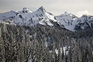 Images Dated 24th February 2006: WA, Mt. Rainier NP, Snow covered trees with Tatoosh Range and Pinnacle Peak