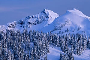 WA, Mt. Rainier NP, Tatoosh Range and snow covered trees