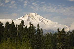 Images Dated 22nd August 2006: WA, Noisy Diobsud Wilderness, Mt. Baker from Anderson Butte