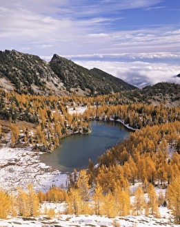WA, Okanogan NF, Cooney Lake and golden Larch trees
