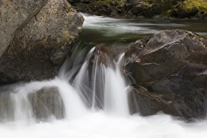 WA, Olallie State Park, Snoqualmie River, South Fork