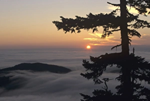 Images Dated 17th August 2016: WA, Olympic National Park, Hurricane Ridge, Sunrise near Observation Point