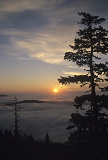 Images Dated 17th August 2016: WA, Olympic National Park, Hurricane Ridge, Sunrise near Observation Point