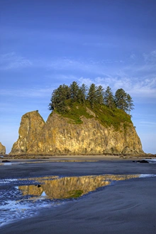 Images Dated 23rd June 2009: WA, Olympic National Park, Second Beach, Seastacks at low tide