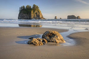 Images Dated 26th June 2009: WA, Olympic National Park, Second Beach
