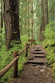 Sol Duc Valley Prints: WA, Olympic NP