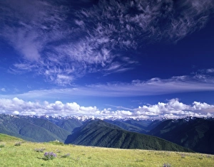 Images Dated 2nd August 2012: WA, Olympic NP, Olympic Mountain Range, view from Hurricane Ridge